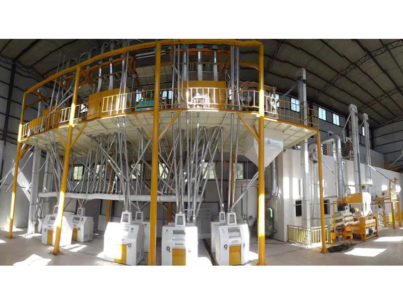 6d0827a48477a07008d51c2637049e7