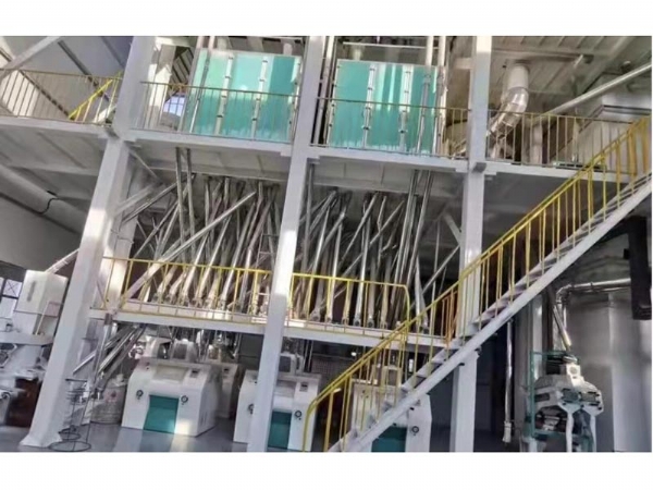 60噸面粉機加工設(shè)備